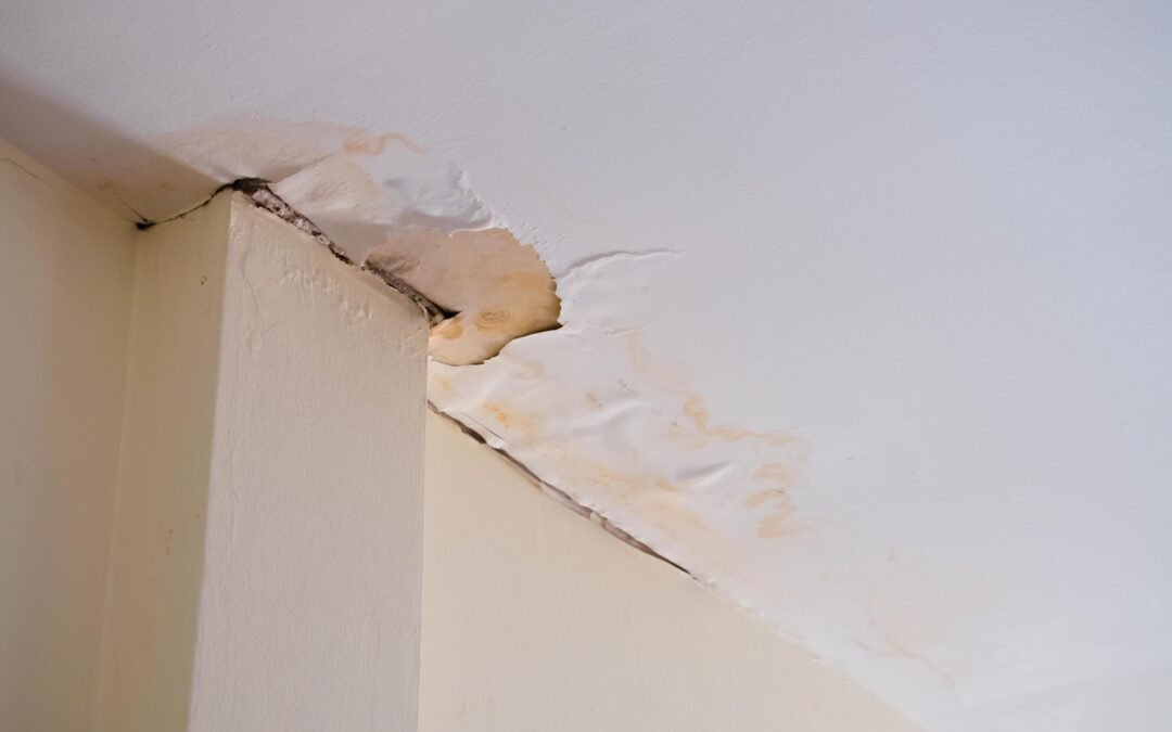 Why Does My Ceiling Have a Water Spot? Common Plumbing Causes Homeowners Shouldn’t Ignore