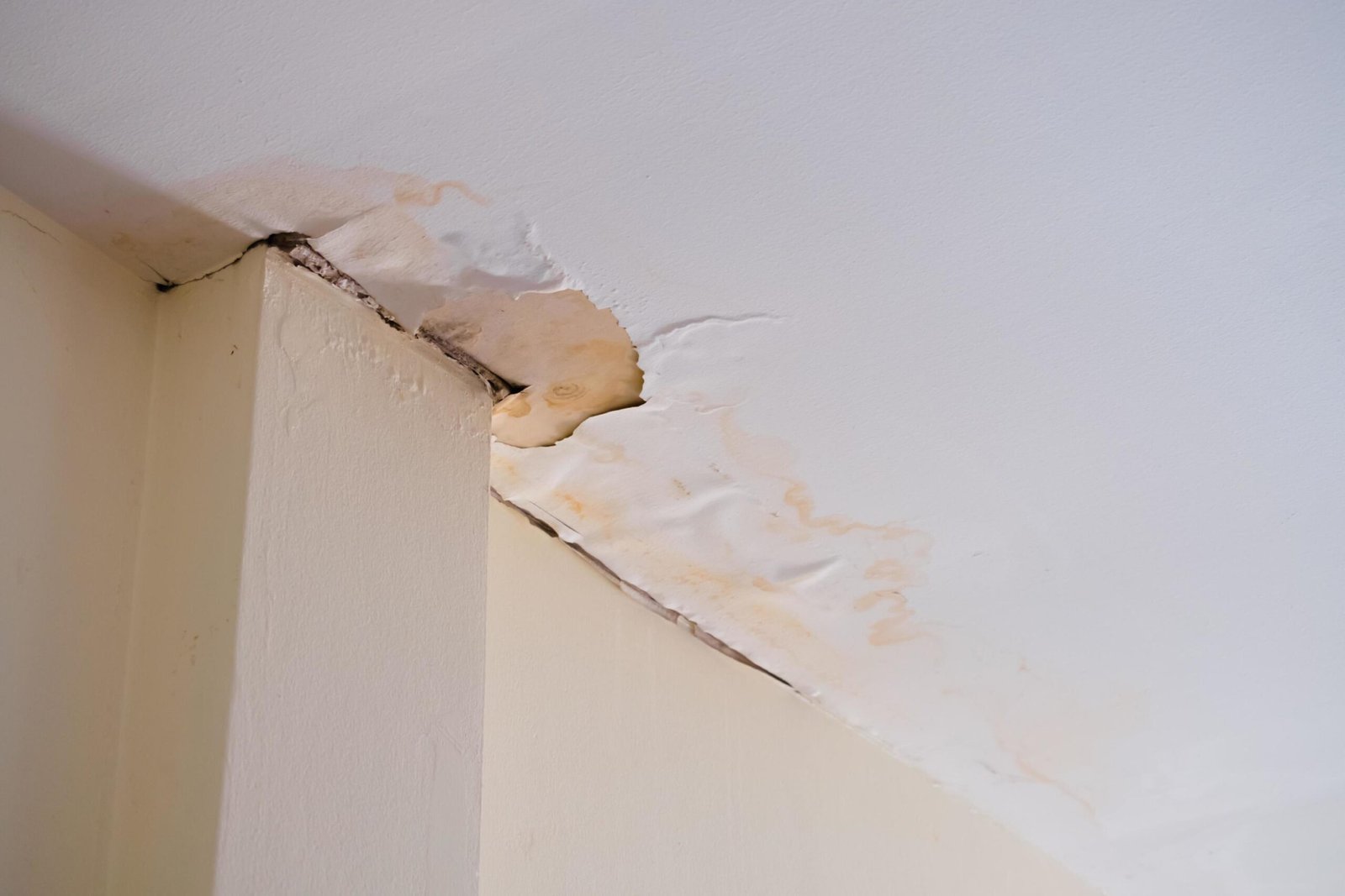 Why Does My Ceiling Have a Water Spot